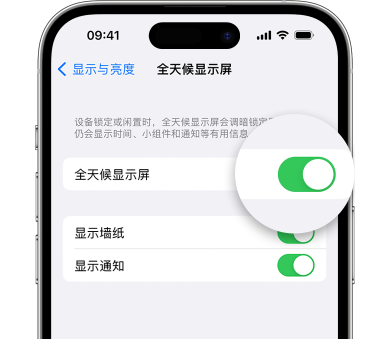 洛浦苹果15预约维修分享iPhone15如何设置全天候显示屏幕可见 